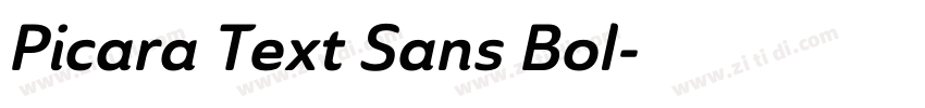 Picara Text Sans Bol字体转换